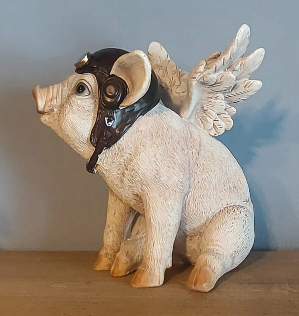 Flying piglett
